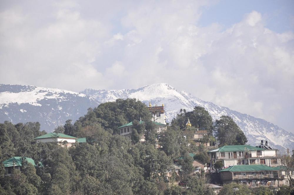 Oyo 28425 Dal Lake Resort 다람샬라 외부 사진